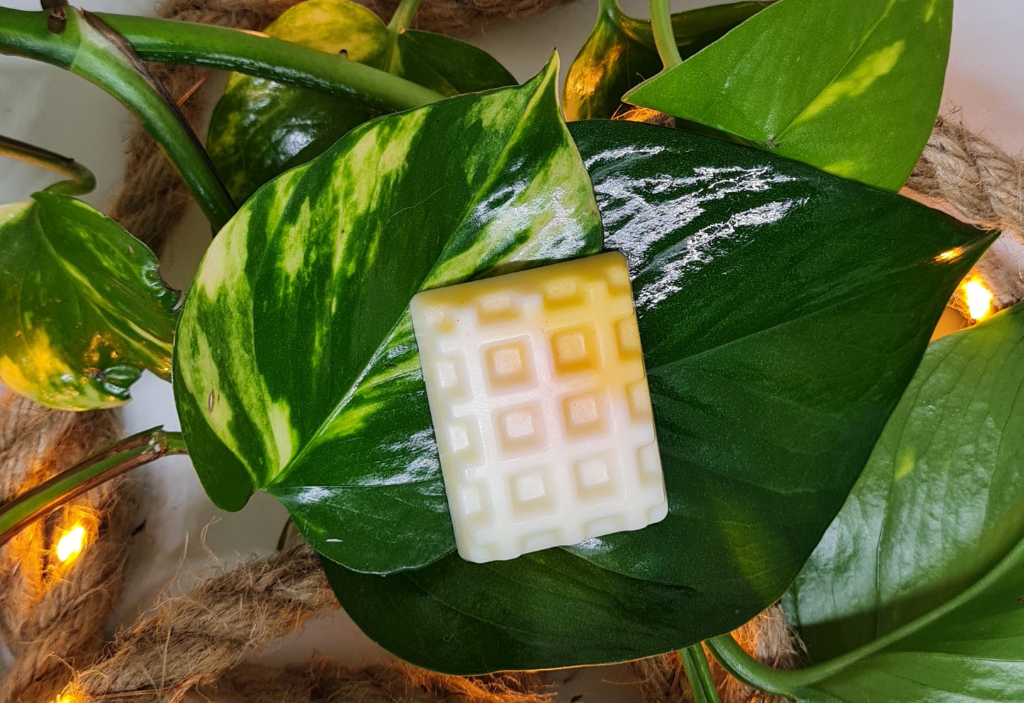 Fondants Parfumés gourmands