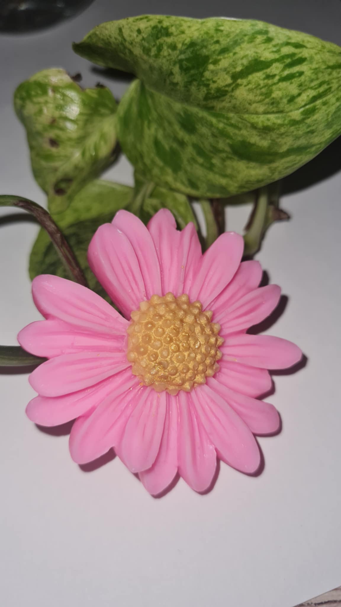 Les fleurs parfumées