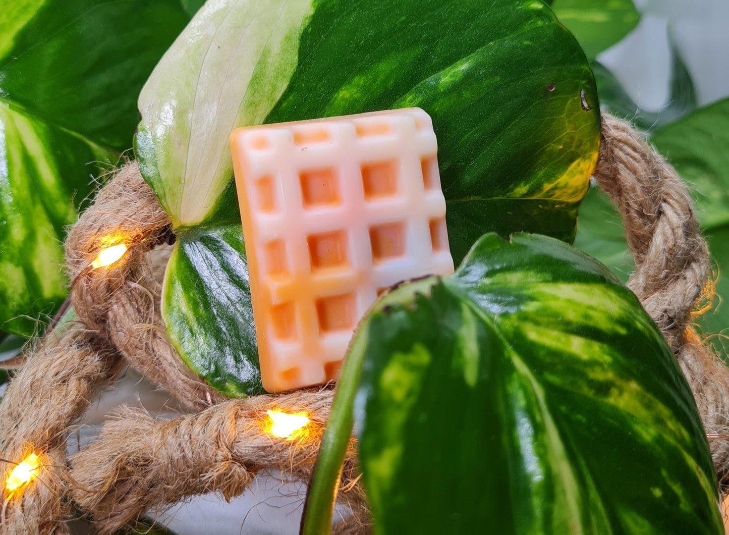 Fondants parfumés fruités