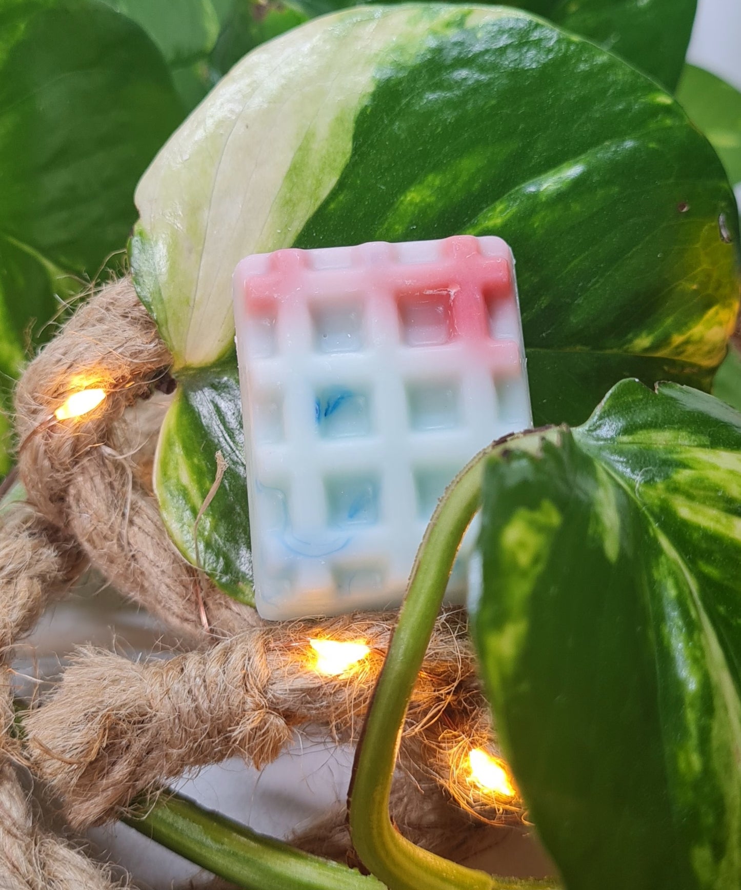 Fondants Parfumés gourmands