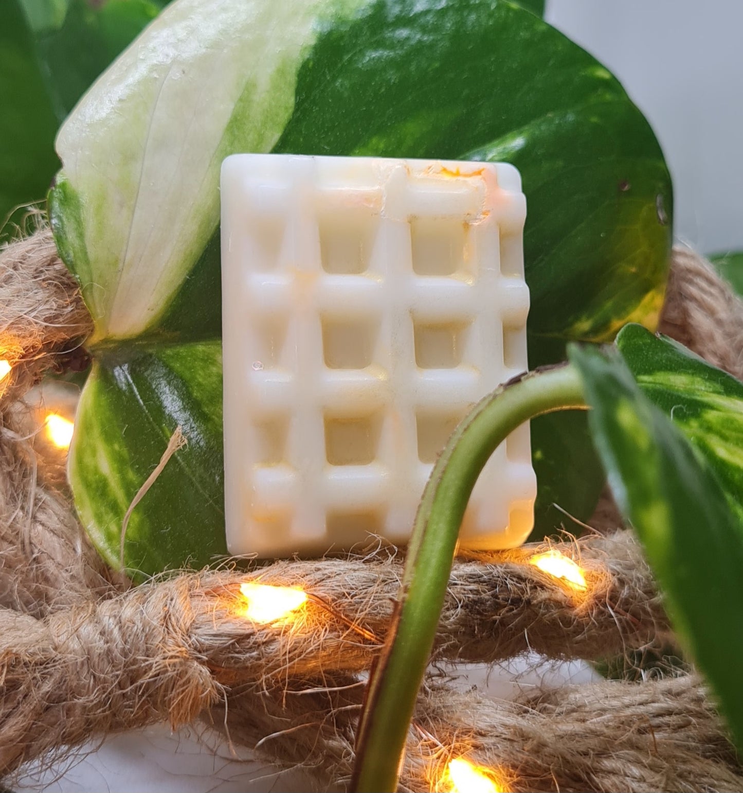 Fondants parfumés fruités