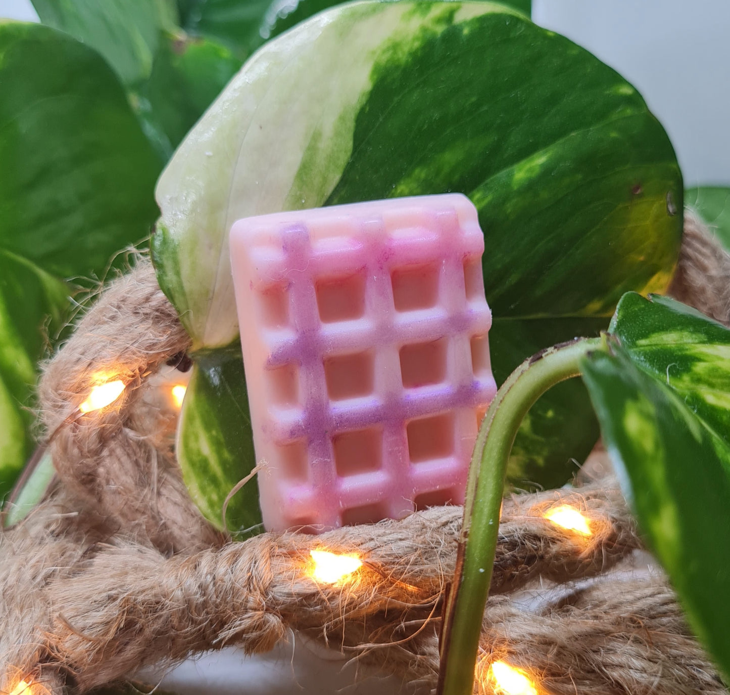 Fondants parfumés fruités