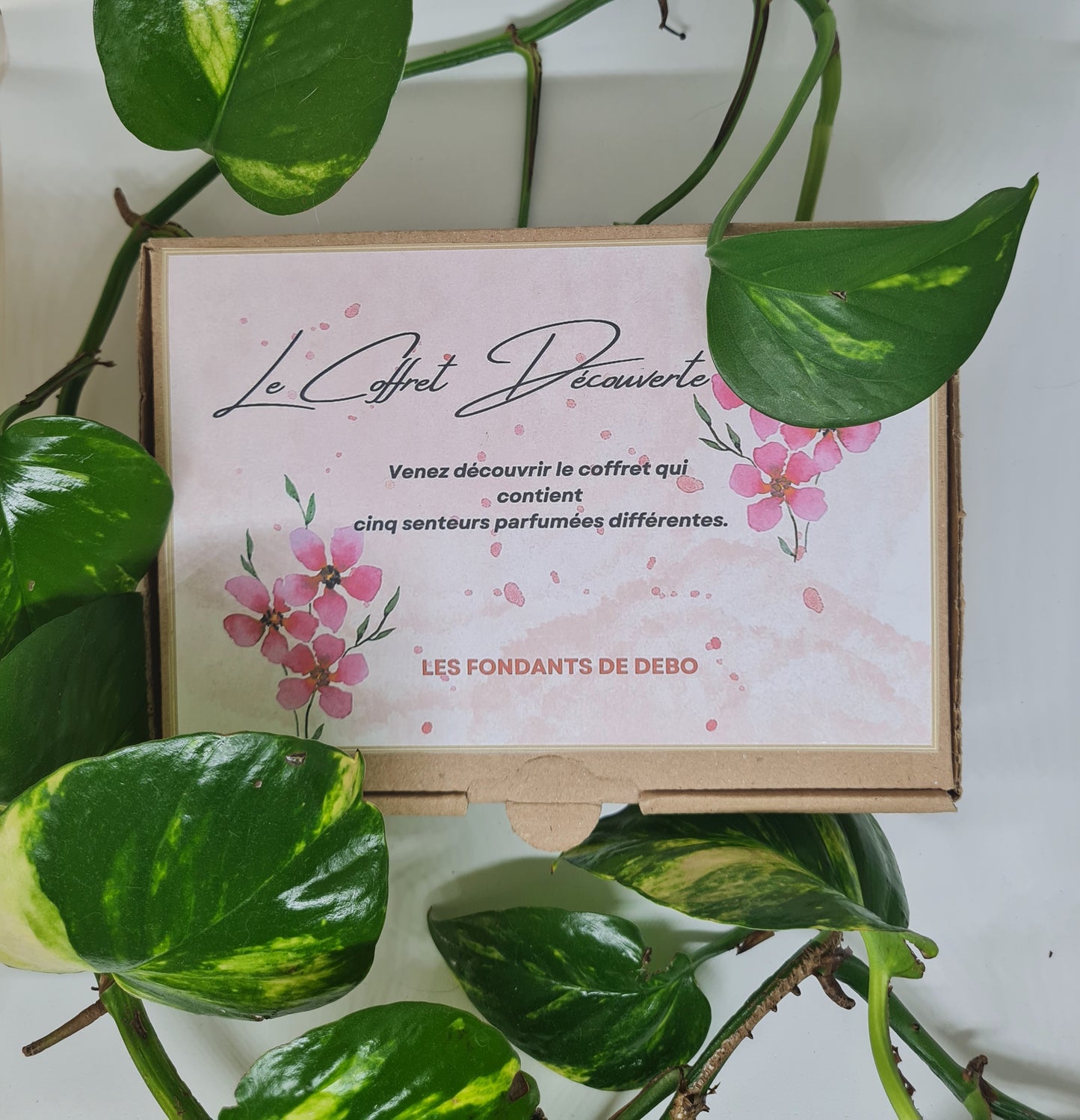 Le coffret découverte