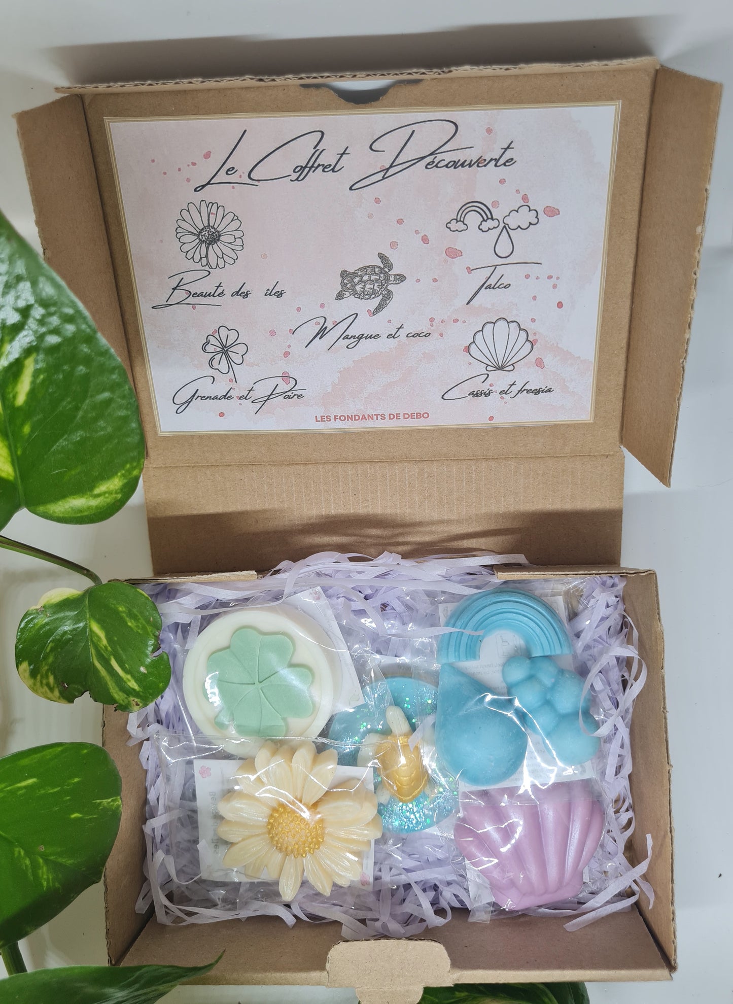 Le coffret découverte