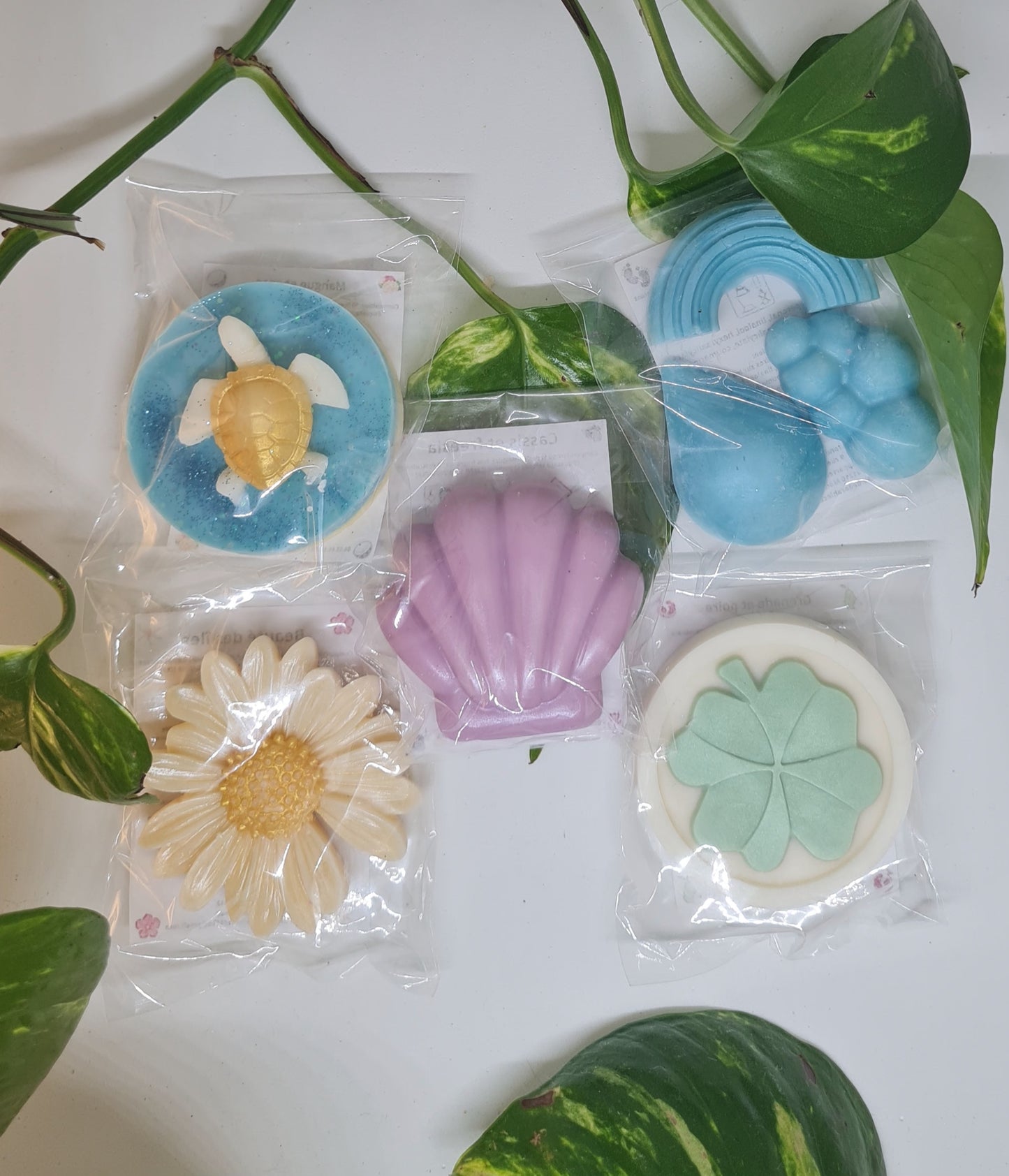 Le coffret découverte