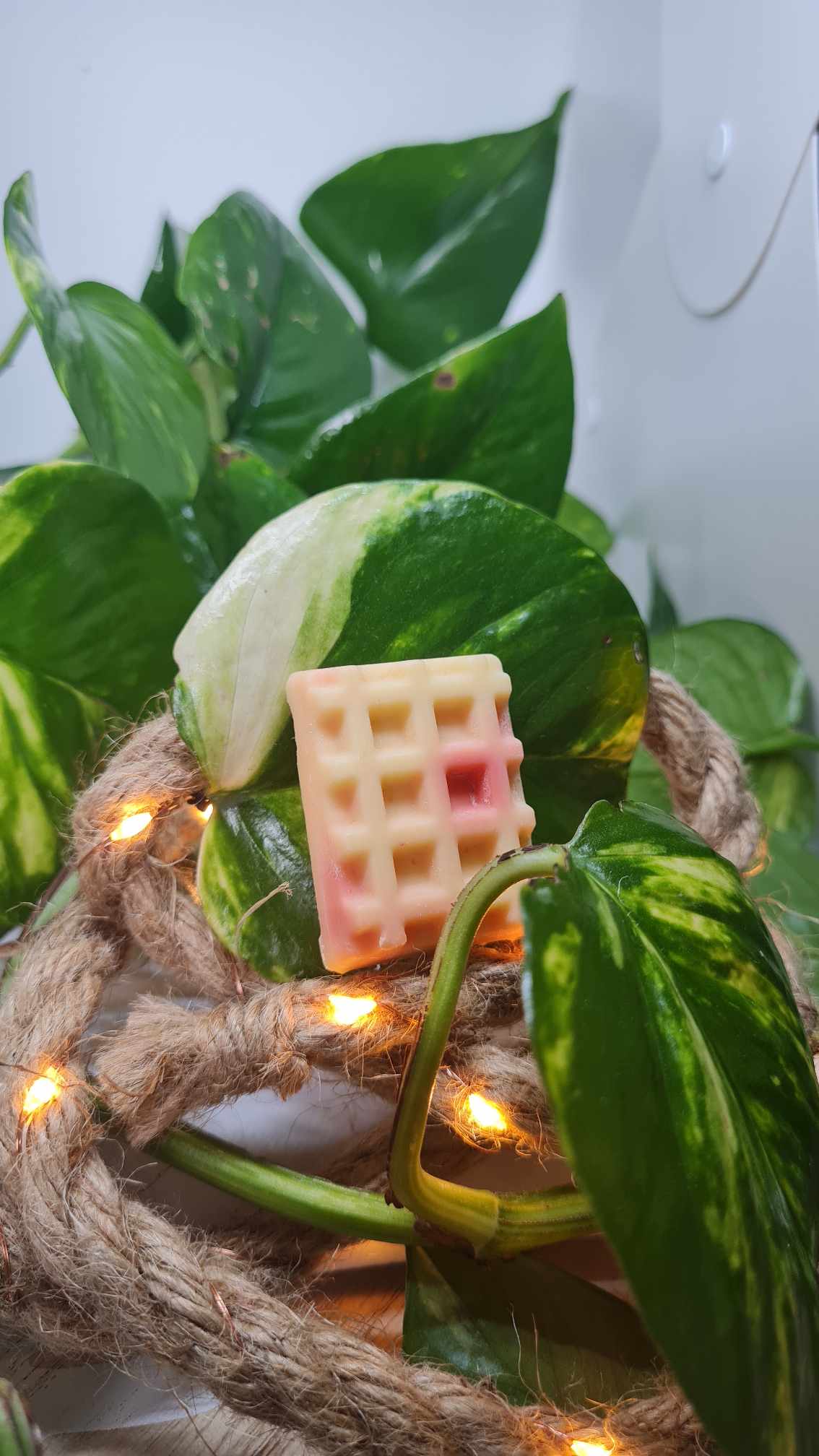 Fondants parfumés cocooning