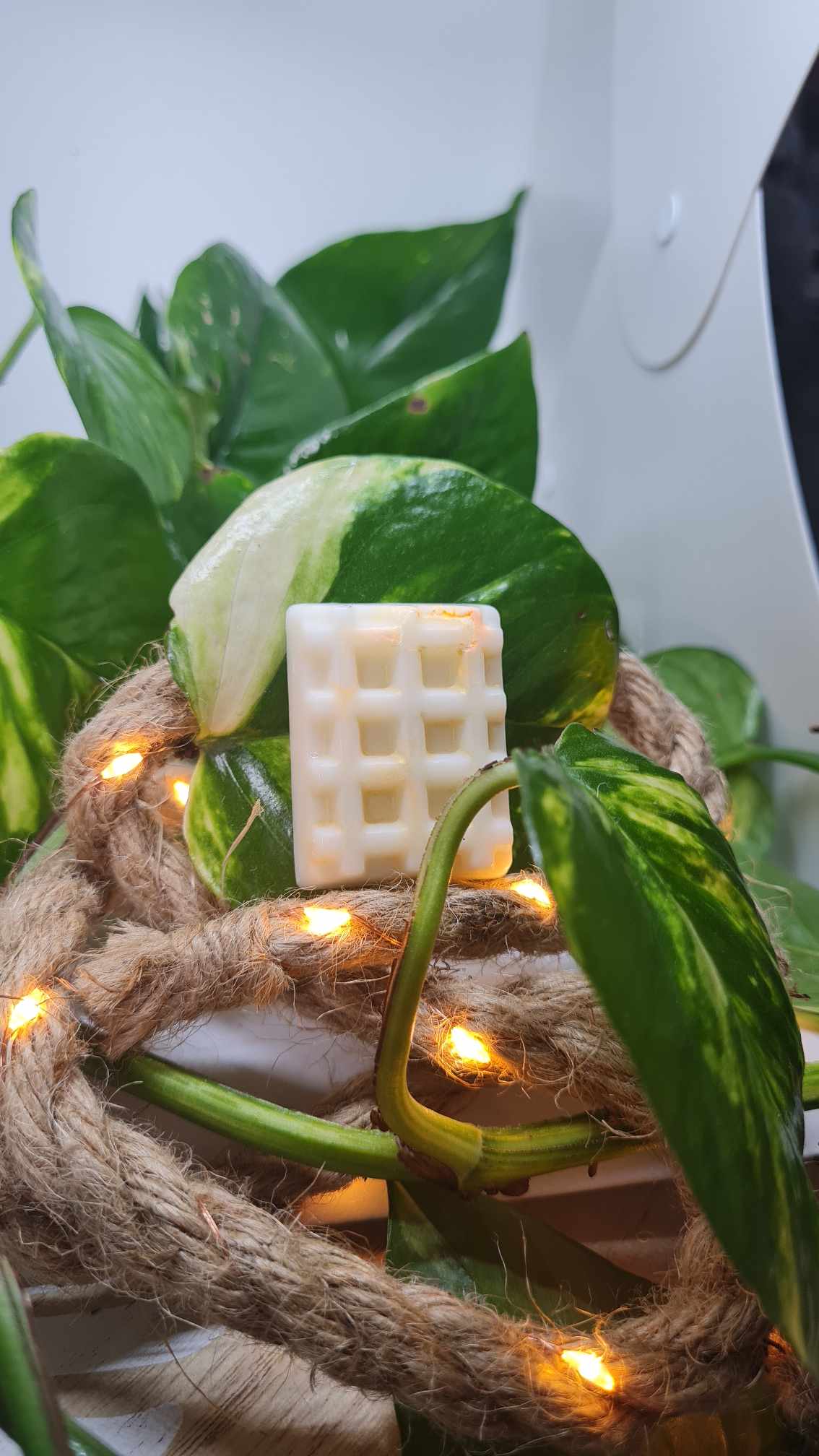 Fondants parfumés fleuris