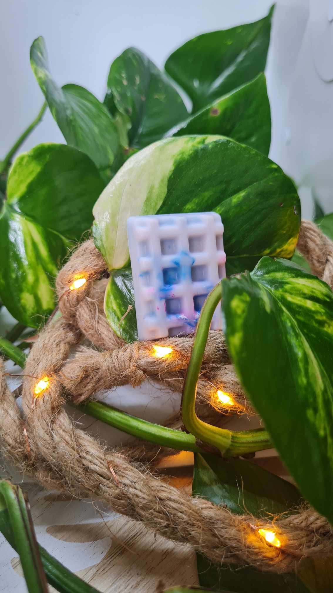 Fondants Parfumés gourmands