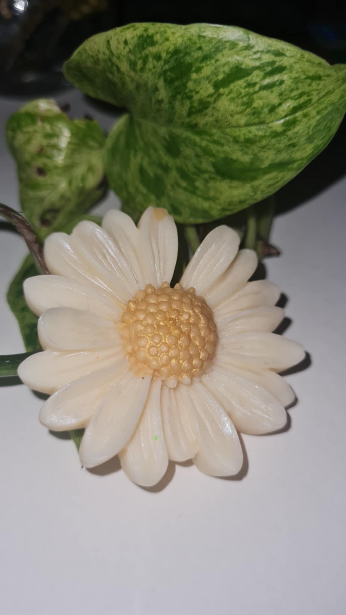 Les fleurs parfumées