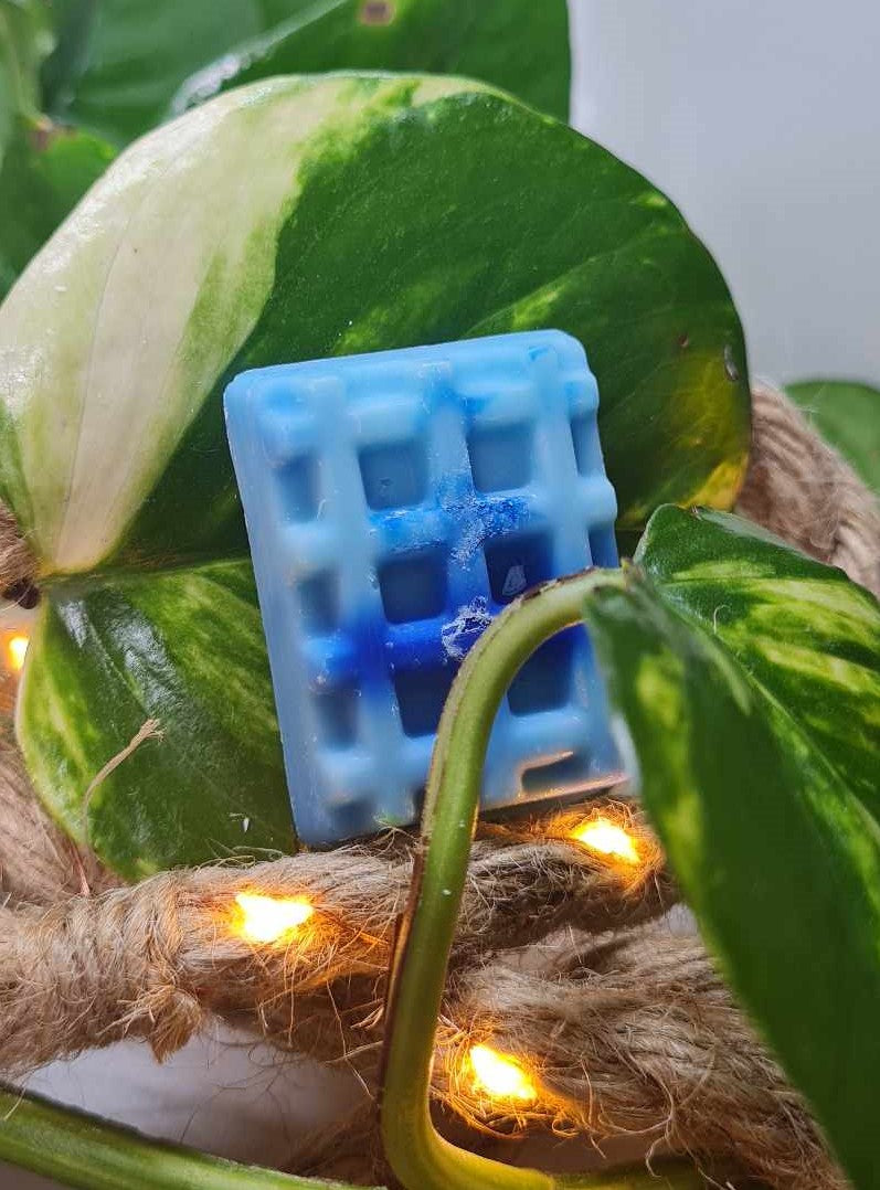 Fondants parfumés cocooning