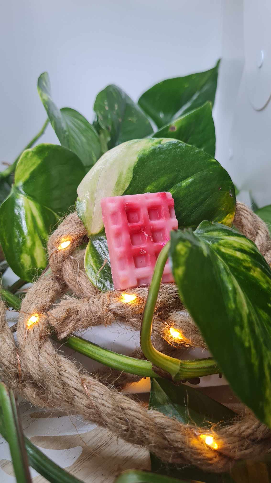 Fondants parfumés fruités