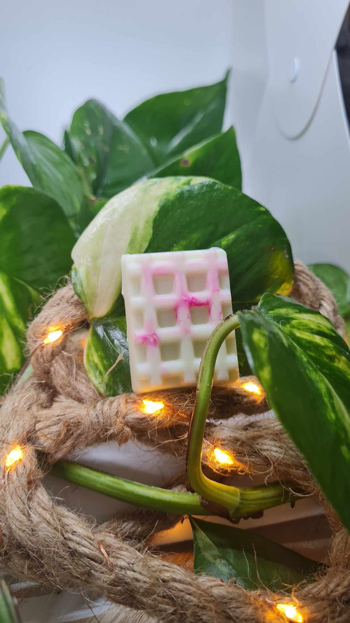 Fondants parfumés fruités