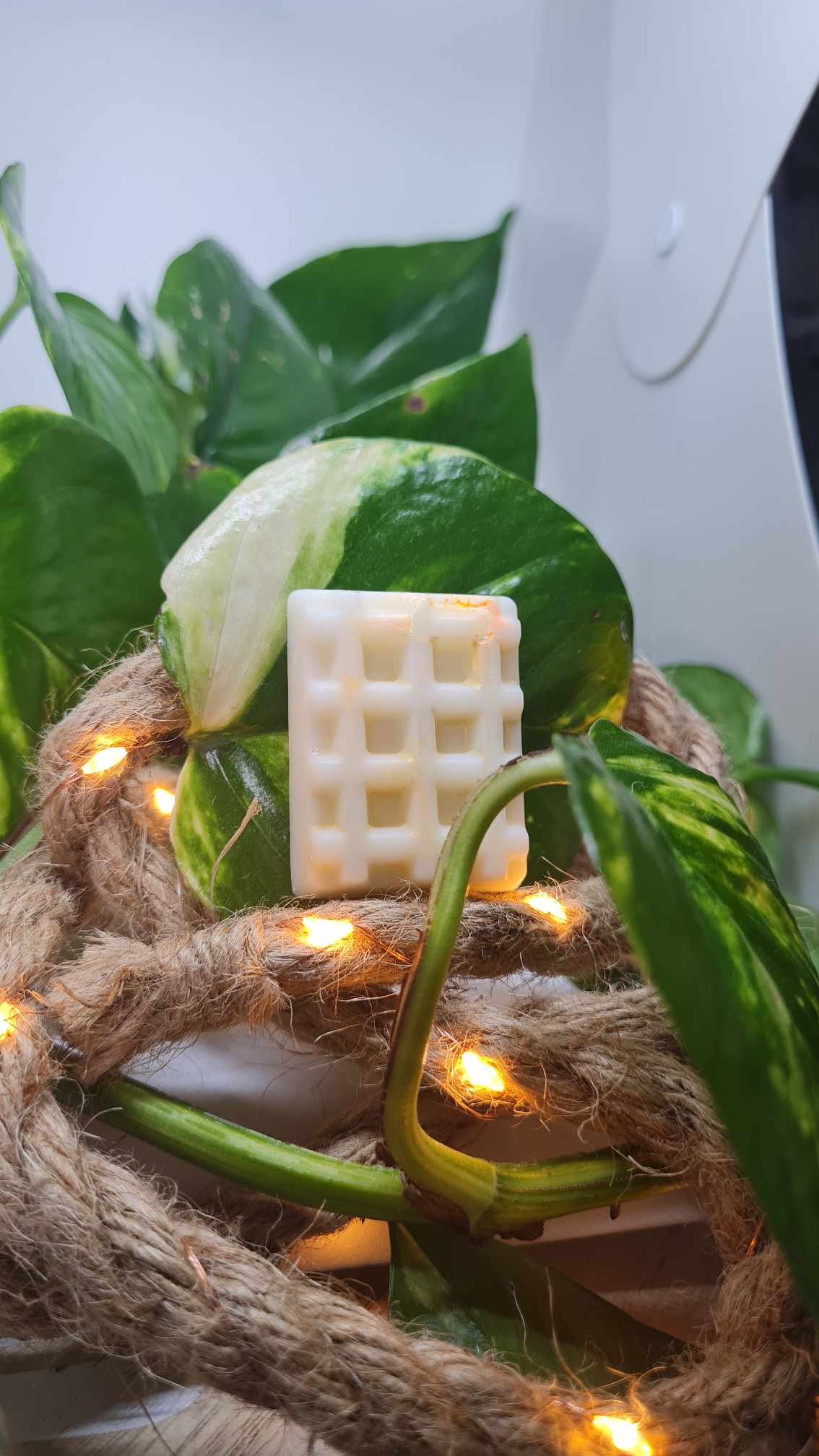 Fondants parfumés fruités